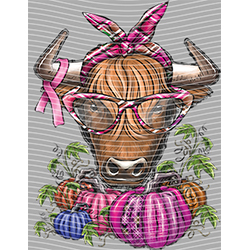 Cow-NIU 2495